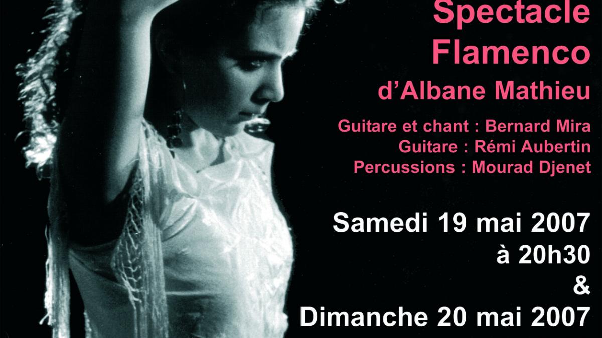 Affiche etre flamenco