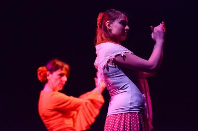 Ecole de flamenco