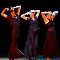 Cours Flamenco adultes Solea